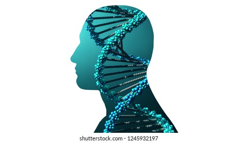 3d Illustration DNA Molecule Inside A Body