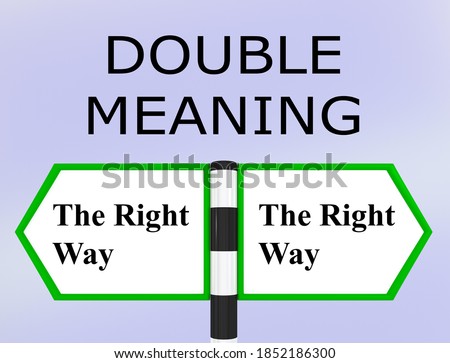 3D illustration of DOUBLE MEANING script above two road signs, each claiming The Right Way.