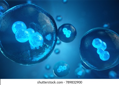 3D Illustration Early Stage Embryo Cell Division. Human Or Animal Cells. Medicine Scientific Concept. Development Of A Living Organism At The Cellular Level
