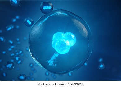 3D Illustration Early Stage Embryo Cell Division. Human Or Animal Cells. Medicine Scientific Concept. Development Of A Living Organism At The Cellular Level
