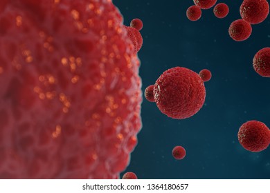 3D Illustration Egg Cells Embryo. Embryo Cells With Red Nucleus In Center. Human Or Animal Egg Cells. Medicine Scientific Concept. Development Living Organism At The Cellular Level Under Microscope.