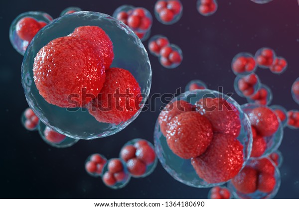 3D illustration egg cells embryo. Embryo\
cells with red nucleuses in center. Human or animal egg cells.\
Medicine scientific concept. Development living organism at the\
cellular level under\
microscope.