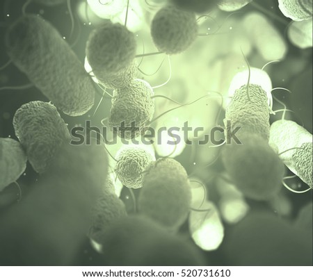 3D illustration. Enterobacteriaceae: large family of Gram-negative bacteria that includes many of the more familiar pathogens, such as Salmonella and Escherichia coli. Stock photo © 