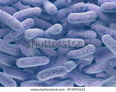 3D illustration of the Enterobacteriaceae that is a large family of Gram-negative bacteria that includes many of the more familiar pathogens, such as Salmonella, Escherichia coli and Yersinia pestis. Stock photo © 