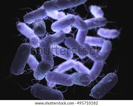 3D illustration of the Enterobacteriaceae that is a large family of Gram-negative bacteria that includes many of the more familiar pathogens, such as Salmonella, Escherichia coli and Yersinia pestis. Stock photo © 