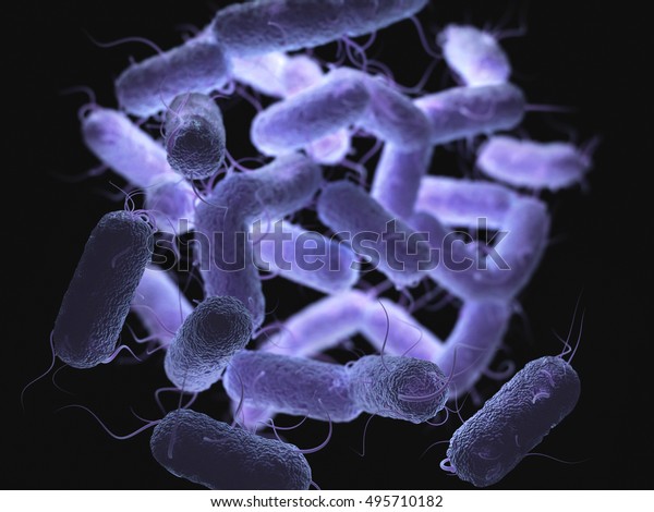 3d Illustration Enterobacteriaceae That Large Family Stock Illustration ...