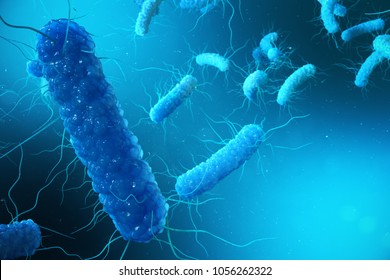 3D Illustration Enterobacterias. Gram Negativas Proteobacteria, Bacteria Such As Salmonella, Escherichia Coli, Yersinia Pestis, Klebsiella