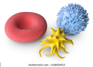 3d Illustration Of Erythrocyte Blood Cell Platelet And Leukocyte