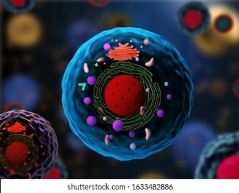 Eukaryote Images, Stock Photos & Vectors | Shutterstock