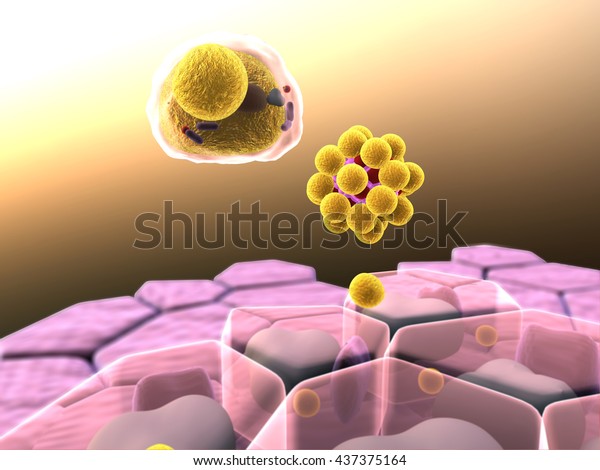 脂肪細胞とマクロファージ 脂肪細胞の分野 脂肪細胞の高品質3dレンダリング 細胞内のコレステロール 細胞の分野の3dイラスト のイラスト素材