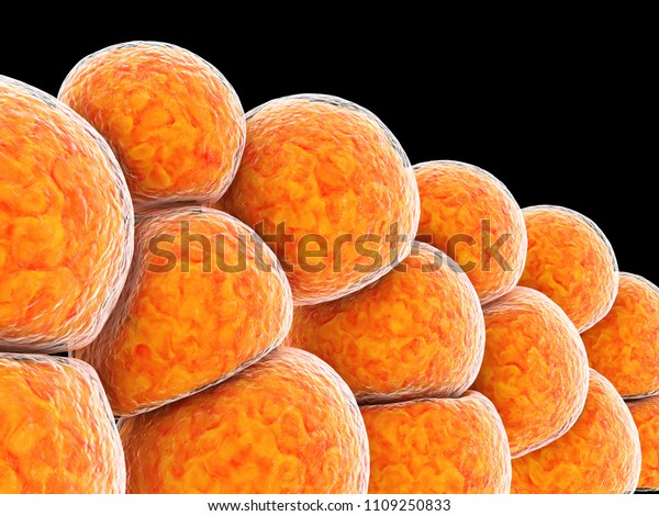 3d\
Illustration of Fat Cells on black\
background