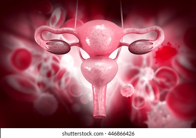 195,528 Reproductive Images, Stock Photos & Vectors | Shutterstock