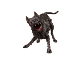 3D Illustration Of A Fierce Zombie Dog In Aggressive Pose Isolated On White Background.
