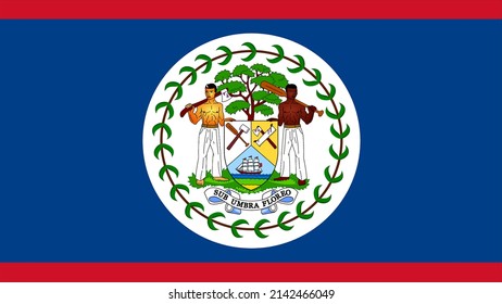3d illustration flag of Belize. Belize flag of background. flag symbol of Belizean.