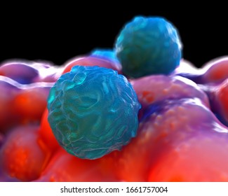 3d Illustration - Foetal Blood Stem Cell