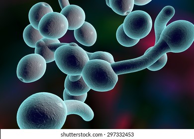 2,909 Fungal cells Images, Stock Photos & Vectors | Shutterstock