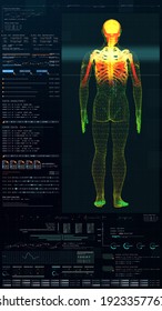 3d Illustration, Futuristic Virtual Holographic Head Up Display Of Biomedical Human Body Scan, Neurological Examination, Vertebral Column And Heart Diagnostic For Tablet Display