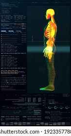 3d Illustration, Futuristic Virtual Holographic Head Up Display Of Biomedical Human Body Scan, Neurological Examination, Vertebral Column And Heart Diagnostic For Tablet Display