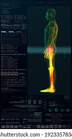 3d Illustration, Futuristic Virtual Holographic Head Up Display Of Biomedical Human Body Scan, Neurological Examination, Vertebral Column And Heart Diagnostic For Tablet Display