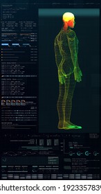 3d Illustration, Futuristic Virtual Holographic Head Up Display Of Biomedical Human Body Scan, Neurological Examination, Vertebral Column And Heart Diagnostic For Tablet Display