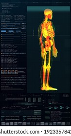 3d Illustration, Futuristic Virtual Holographic Head Up Display Of Biomedical Human Body Scan, Neurological Examination, Vertebral Column And Heart Diagnostic For Tablet Display