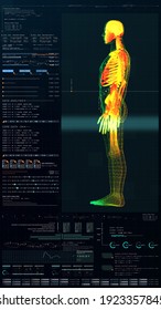 3d Illustration, Futuristic Virtual Holographic Head Up Display Of Biomedical Human Body Scan, Neurological Examination, Vertebral Column And Heart Diagnostic For Tablet Display