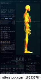 3d Illustration, Futuristic Virtual Holographic Head Up Display Of Biomedical Human Body Scan, Neurological Examination, Vertebral Column And Heart Diagnostic For Tablet Display