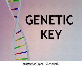 3D Illustration Of GENETIC KEY Script With DNA Double Helix , Isolated On Colored Pattern.