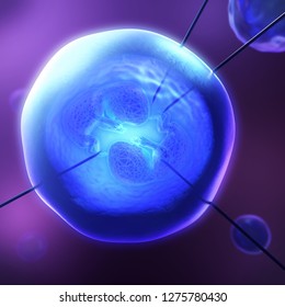 3d illustration of an genetically modified twin embryos in a blue transparent bubble and cannula
