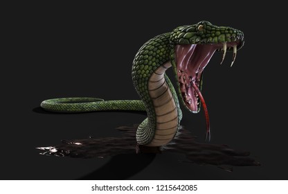 3d Illustration Green Giant Fantasy Snake on Black Background with Clipping Path