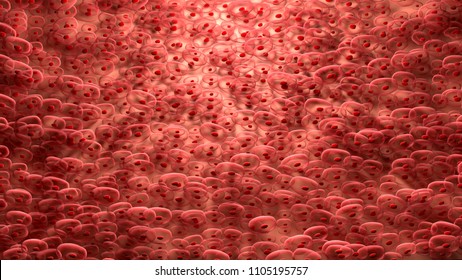 3d Illustration Heart Cells