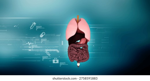 
3d illustration human digestive system