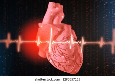 25,791 Cardiac Anatomy Images, Stock Photos & Vectors | Shutterstock