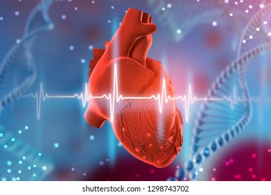 3d Illustration Human Heart Cardiogram On Stock Illustration 1298736925 ...