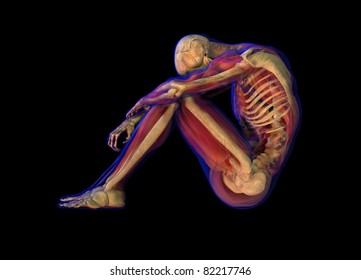 3D Illustration Of Human Male Anatomy And Skeleton. Sitting Pose. Side View.