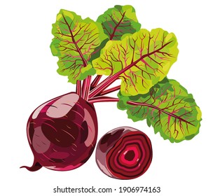 A 3d illustration image of beet fruit isolated on white background.
