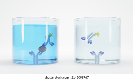 3D Illustration Of An Immunoassay Method. Schematic Of Sandwich Enzyme-linked Immunosorbent Assay (ELISA) Format. The Results Show Positive And Negative On The Left And Right, Respectively.