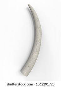 3d Illustration Of Ivory Tusk On A White Background