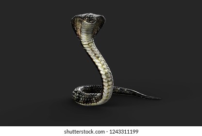 13,582 3d Snake Images, Stock Photos & Vectors | Shutterstock