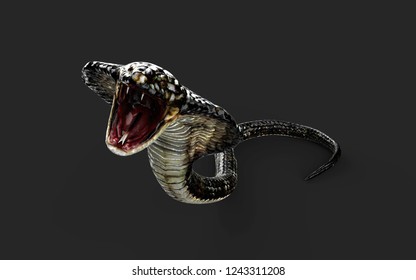 3d Illustration King Cobra The World's Longest Venomous Snake Isolated on Black Background, King Cobra Snake with Clipping Path 