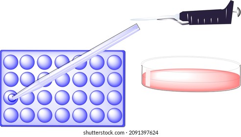 3D Illustration. Lab's Material. Cell Culture Plates And Pipettes.