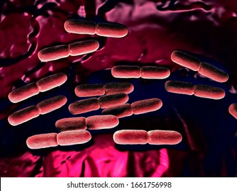 3d Illustration - Lactobacillus Bulgaricus Bacteria