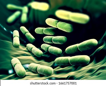 3d Illustration - Lactobacillus Bulgaricus Bacteria