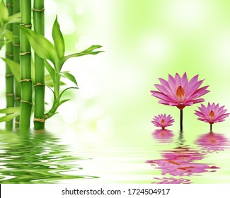 3d Illustration Lotus Flowers Bamboo Stock Illustration 1724504917 ...