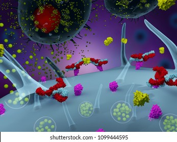 3d Illustration Of Mast Cells Activated By Allergens 