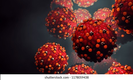 3d illustration Measles virus or virus