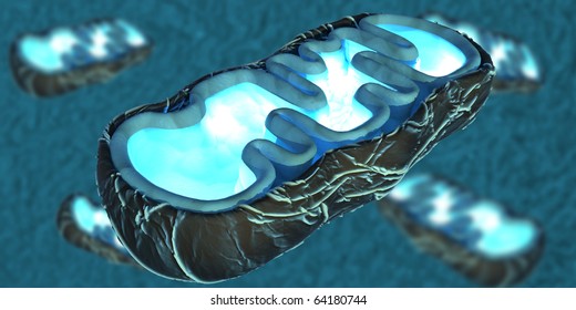 3D Illustration Of Mitochondria, The Energy Providers Of A Eukaryotic Cell