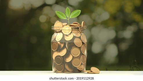 3D Illustration Of Money Gold Coins In A Transparent Glass Jar With Plants Growing On It