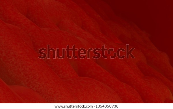 3d illustration muscle fiber background and\
red blood cells. Organic Tissue\
organs