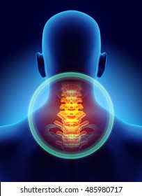 3D illustration, neck painful - cervica spine skeleton x-ray, medical concept.